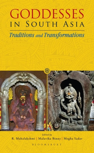 Goddesses in South Asia - Traditions and Transformations