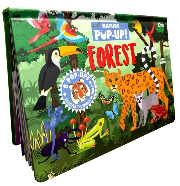 Pop Up Forest Book for Kids - Autumn, Mangroves, Rainforests & Discover the World of Forest