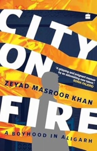 City on Fire - A Boyhood in Aligarh