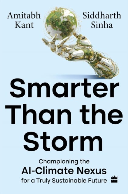 Smarter Than The Storm - Championing the AI-Climate Nexus for a Truly Sustainable Future