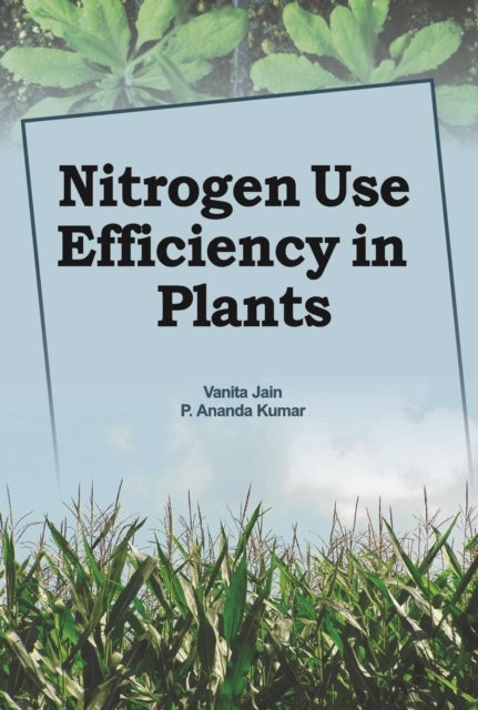 Nitrogen Use Efficiency in Plants