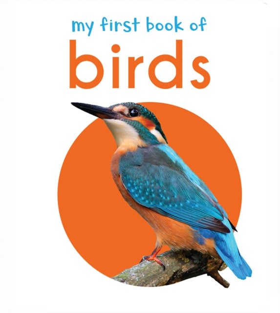 My First Book of Birds - First Board Book