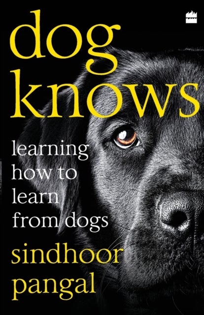 Dog Knows - Learning How to Learn from Dogs