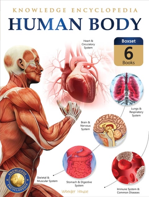 Knowledge Encyclopedia For Children: Human Body - Boxset of 6 books