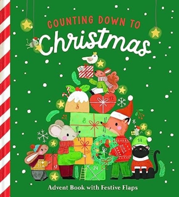 Counting Down to Christmas - Advent Book with Festive Flaps