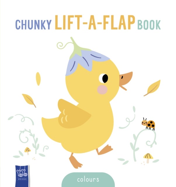 Baby's Chunky Lift-The-Flap - Colours
