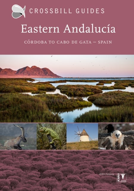 Eastern Andalucia - Cordoba to Cabo de Gata – Spain