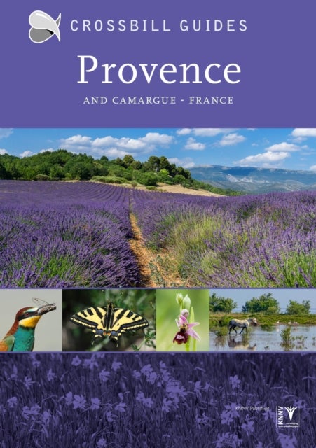 Provence - And Camargue, France