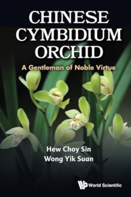 Chinese Cymbidium Orchid: A Gentleman Of Noble Virtue