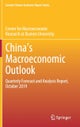China's Macroeconomic Outlook