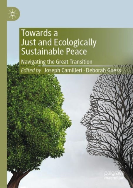 Towards a Just and Ecologically Sustainable Peace - Navigating the Great Transition