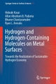 Hydrogen and Hydrogen-Containing Molecules on Metal Surfaces