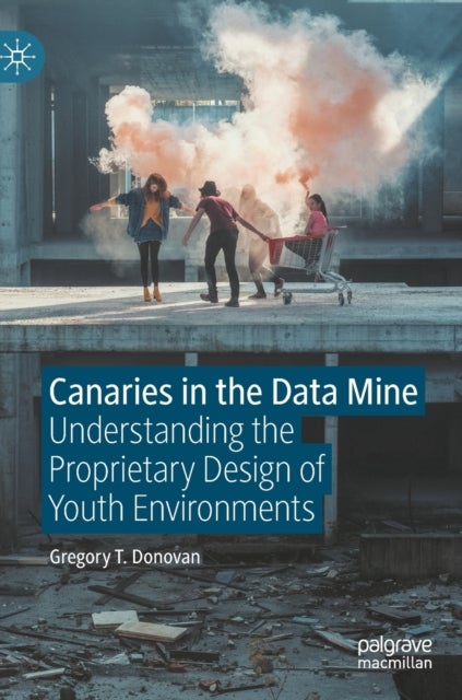 Canaries in the Data Mine - Understanding the Proprietary Design of Youth Environments