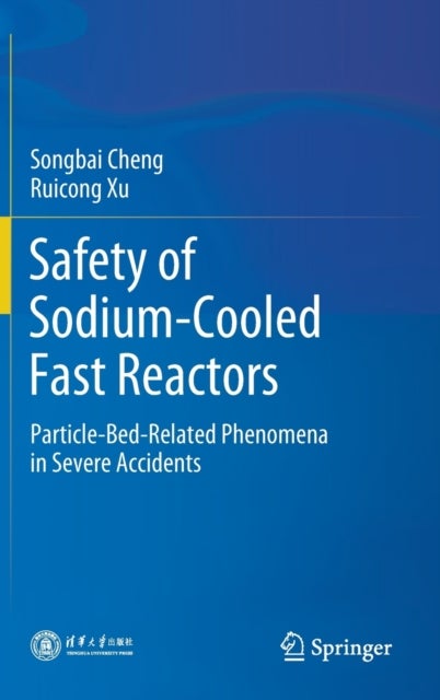 Safety of Sodium-Cooled Fast Reactors - Particle-Bed-Related Phenomena in Severe Accidents