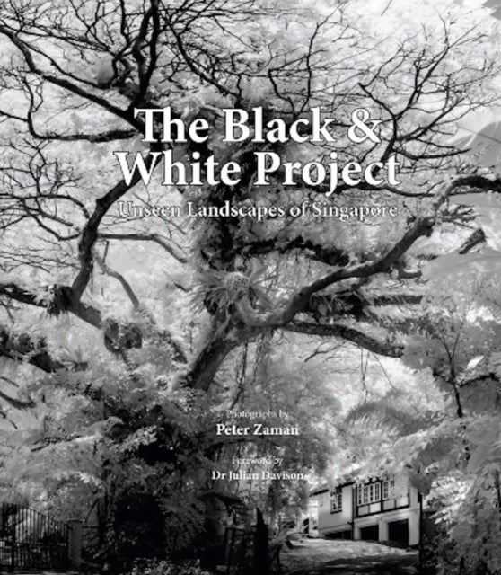 The Black & White Project - Unseen Landscapes of Singapore