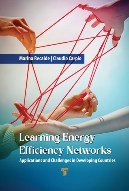 Learning Energy Efficiency Networks - Applications and Challenges in Developing Countries