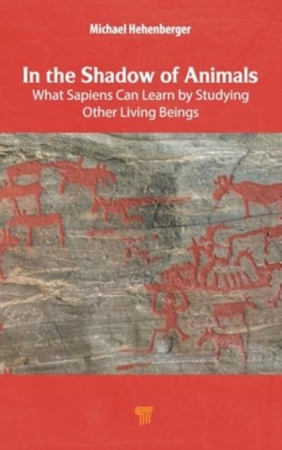 In the Shadow of Animals - What Sapiens Can Learn by Studying Other Living Beings