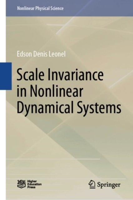 Scale Invariance in Nonlinear Dynamical Systems