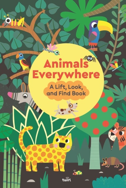 Animals Everywhere: A Lift, Look, and Find Book