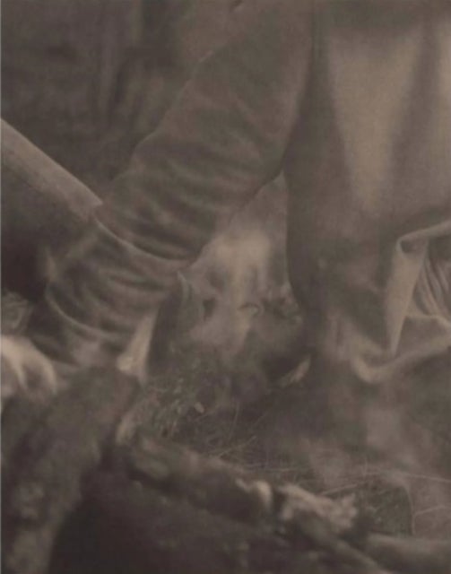 La Ronde des hirondelles