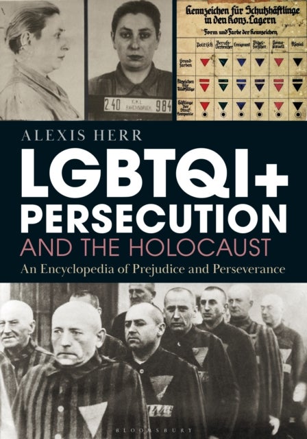 LGBTQI+ Persecution and the Holocaust - An Encyclopedia of Prejudice and Perseverance