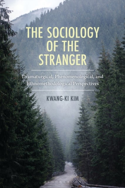 The Sociology of the Stranger - Dramaturgical, Phenomenological, and Ethnomethodological Perspectives