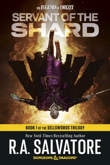 Servant of the Shard: Dungeons & Dragons - Book 1 of The Sellswords Trilogy