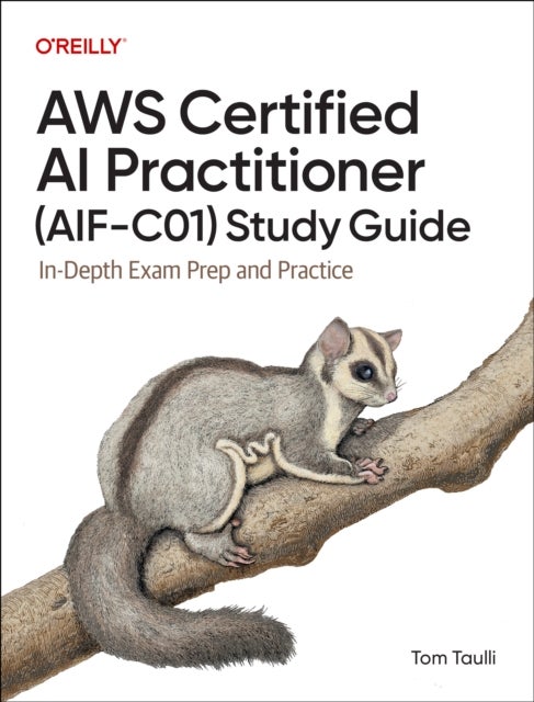AWS Certified AI Practitioner (AIF-C01) Study Guide - In-Depth Exam Prep and Practice
