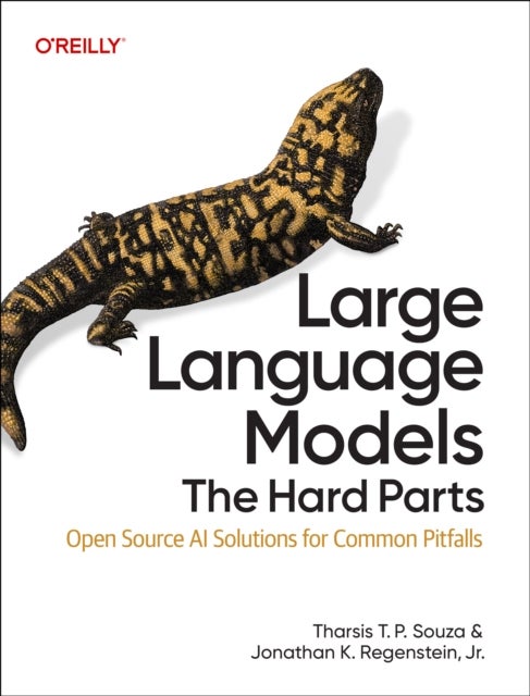 Large Language Models - The Hard Part