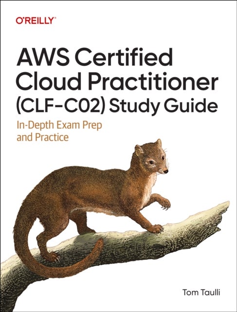 AWS Certified Cloud Practitioner (CLF-C02) Study Guide - In-Depth Exam Prep and Practice