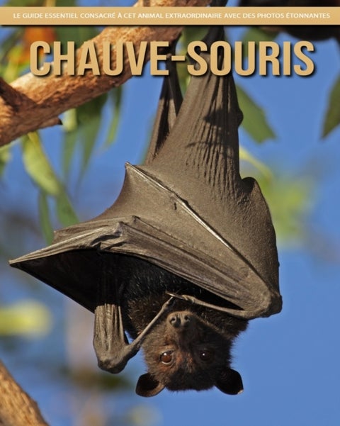 Chauve-Souris - Le Guide Essentiel Consacre a Cet Animal Extraordinaire avec des Photos Etonnantes