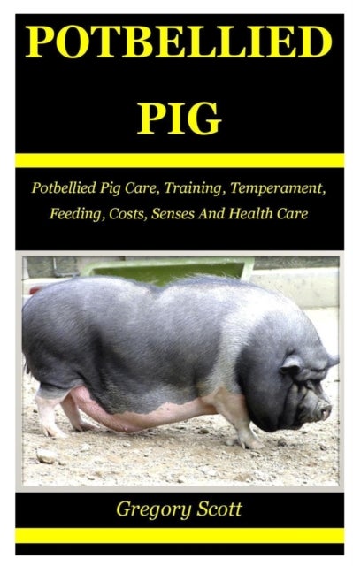Potbellied Pig - Potbellied Pig Care, Training, Temperament, Feeding, Costs, Senses And Health Care