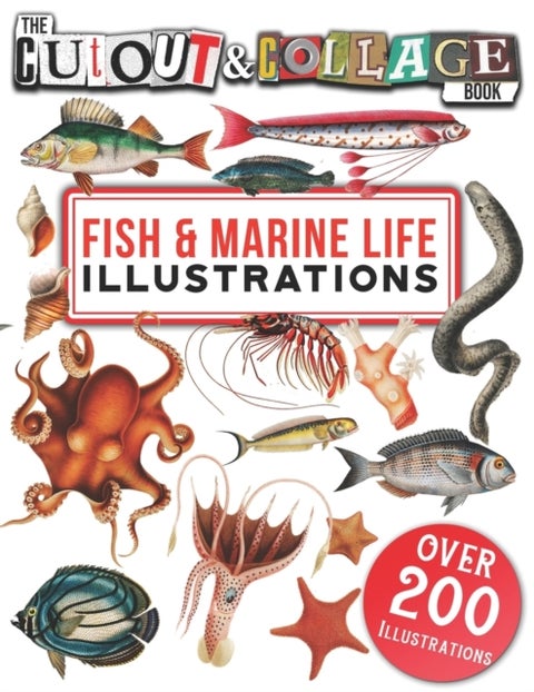 The Cut Out And Collage Book Fish & Marine Life Illustrations - Over 200 High Quality Marine Life & Fish illustrations For Collage And Mixed Media Artists