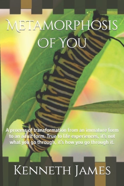 Metamorphosis Of You - A process of transformation from an immature form to an adult form. True to life experiences, it's not what you go through, it's how you go through it.