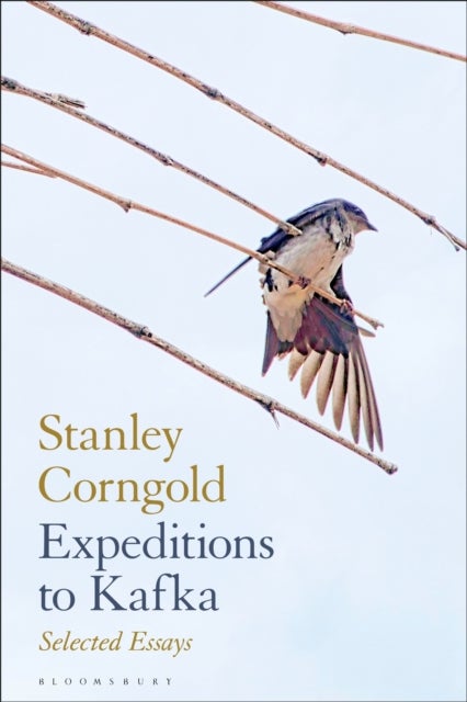 Expeditions to Kafka - Selected Essays