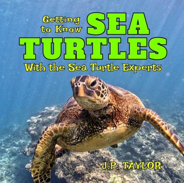 Getting to Know Sea Turtles - With the Sea Turtle Experts