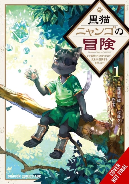 The Adventure of Black Cat Nyango, Vol. 1 - Since I Got a Rare Attribute, I Aim to Be a Carefree Adventurer