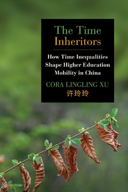 The Time Inheritors - How Time Inequalities Shape Higher Education Mobility in China