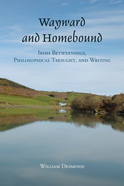 Wayward and Homebound - Irish Betweenings, Philosophical Thought, and Writing