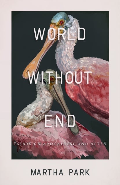 World Without End - Essays on Apocalypse and After