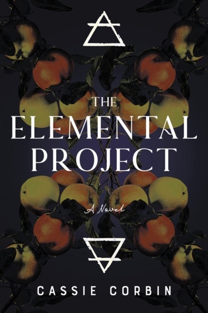 The Elemental Project - A Novel