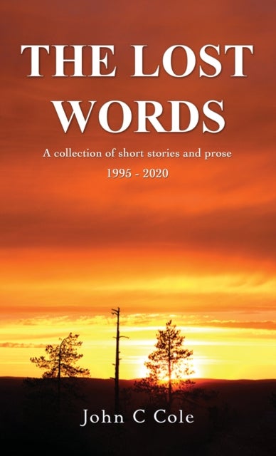 The Lost Words - A collection of short stories and prose 1995 - 2020