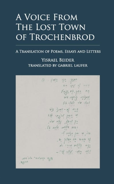 A Voice from The Lost Town of Trochenbrod - A Translation of Poems, Essays and Letters by Yisrael Beider