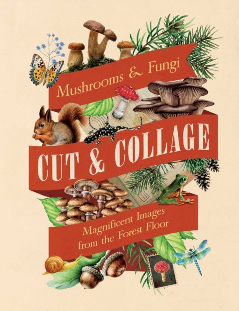 Cut & Collage Mushrooms and Fungi - Magnificent Images from the Forest Floor