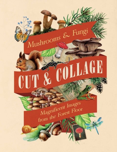 Cut & Collage Mushrooms and Fungi - Magnificent Images from the Forest Floor
