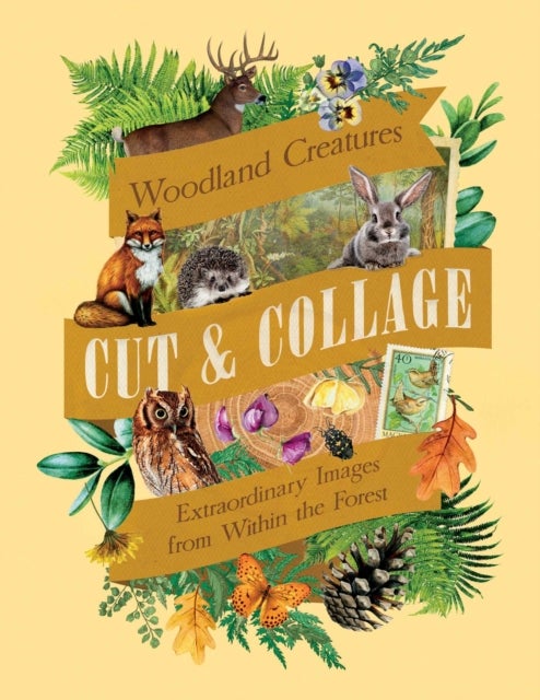Cut & Collage Woodland Creatures - Extraordinary Images from Within the Forest