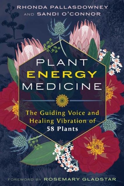 Plant Energy Medicine - The Guiding Voice and Healing Vibration of 58 Plants