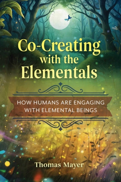 Co-Creating with the Elementals - How Humans Are Engaging with Elemental Beings