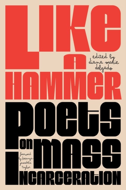 Like a Hammer - Poets on Mass Incarceration