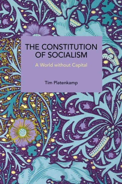 The Constitution of Socialism